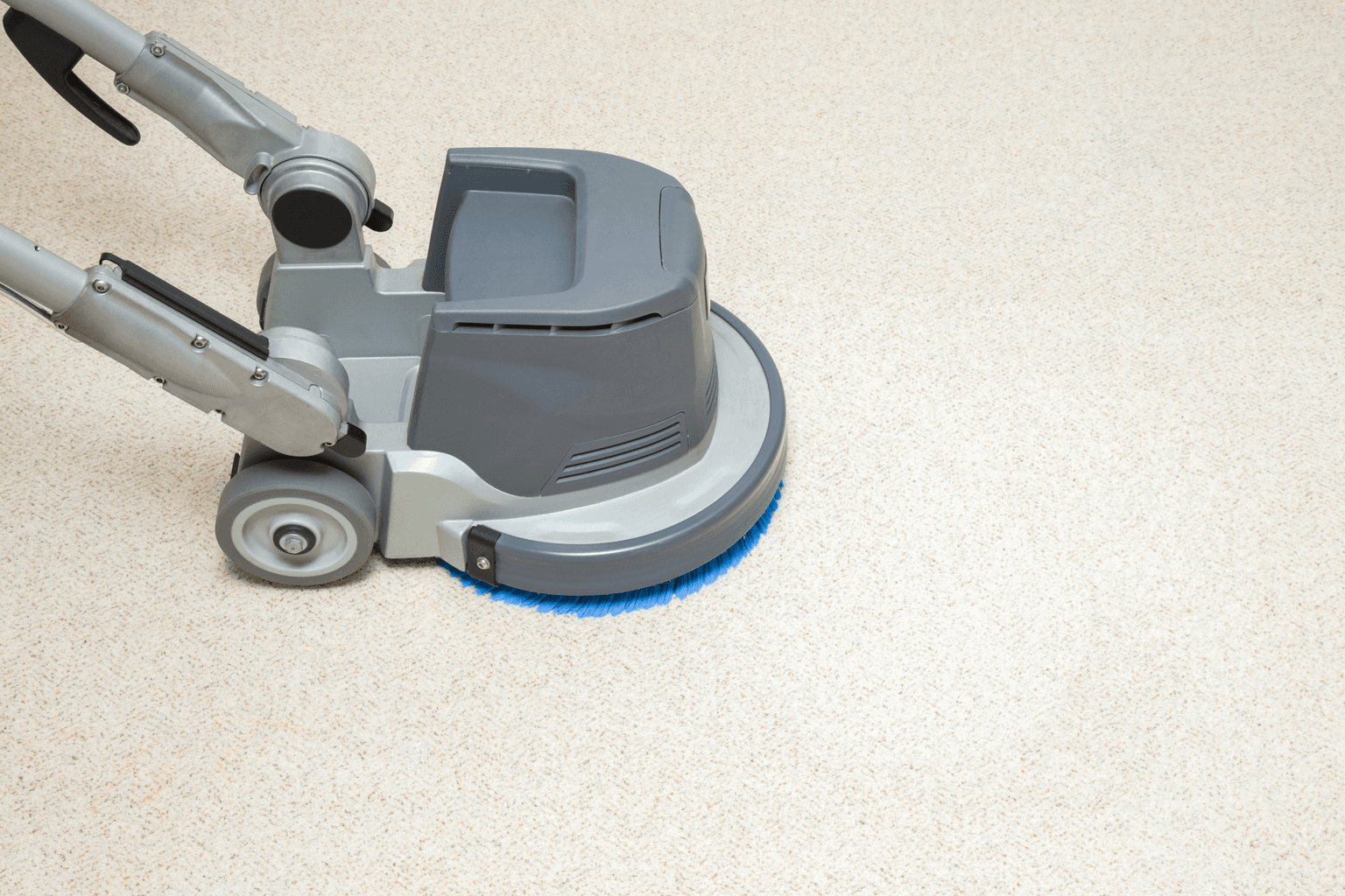 Carpet Cleaning