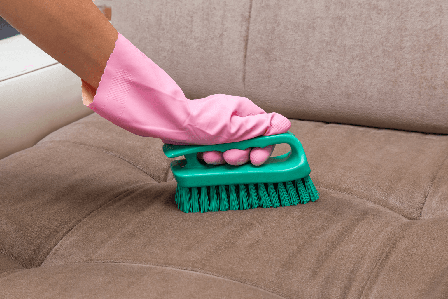 Upholstery Cleaning